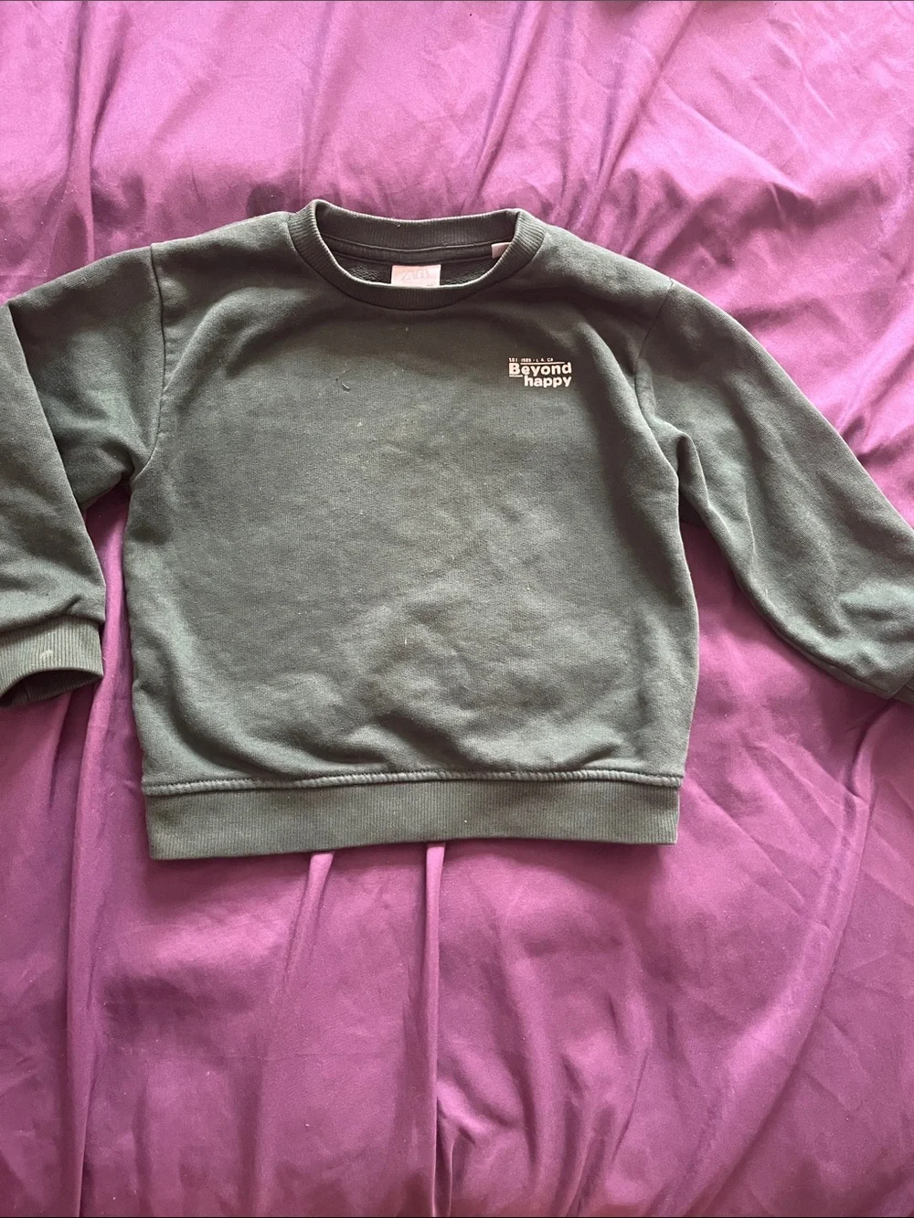Zara Kids Dark Olive Green Crewneck Sweatshirt with Chest Print